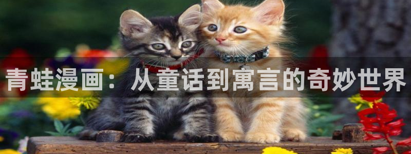 漫蛙漫画(网页入口)漫蛙manwa