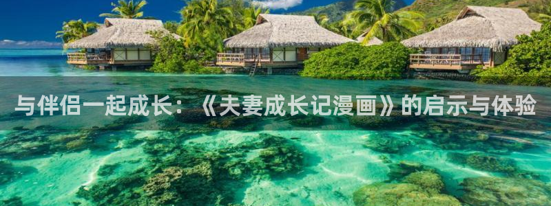 漫蛙漫画的网址：与伴侣一起成长：《夫妻成长记漫画》的启示与体验